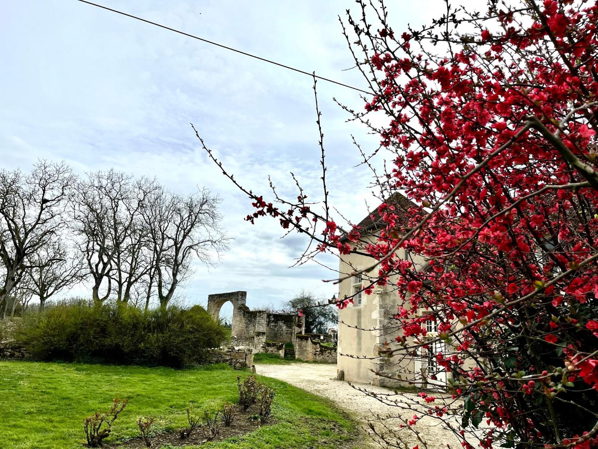O2 Tours Bed & Breakfast Ourouer-les-Bourdelins Ngoại thất bức ảnh